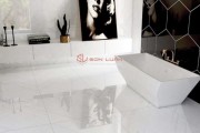 Gạch Ốp Lát Apodio 88181039